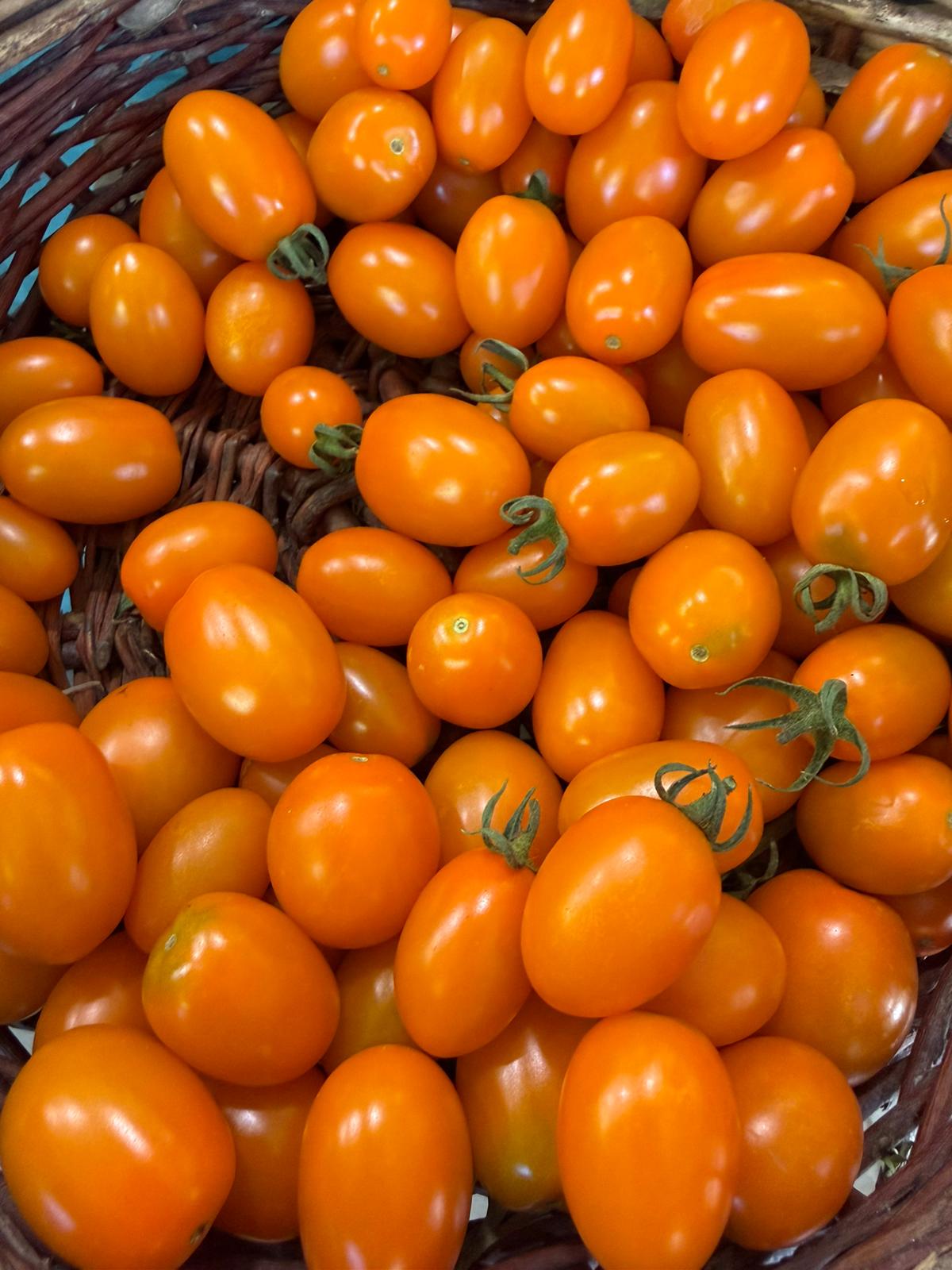 Pomodorini gialli datterino